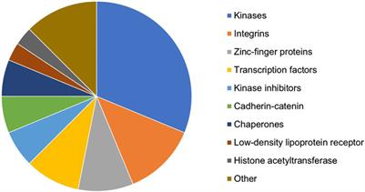 Integrating text mining with network models for successful target identification: in vitro validation in MASH-induced liver fibrosis